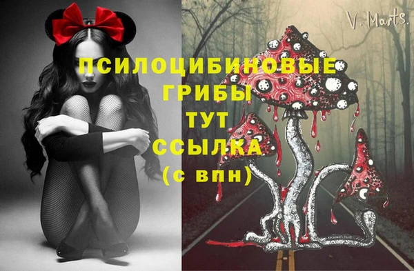 СК Арсеньев