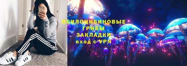 дмт Аркадак